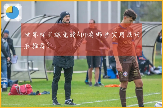 世界杯买球竞猜App有哪些实用技巧和推荐？