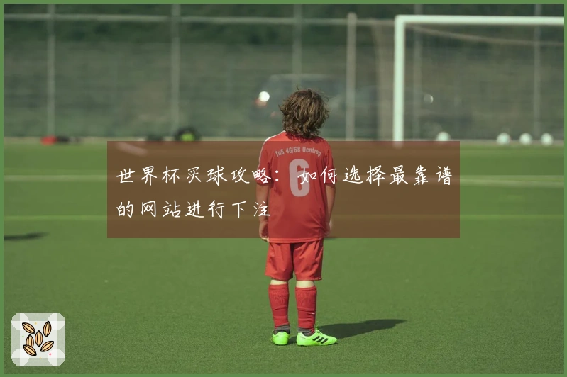 世界杯买球攻略：如何选择最靠谱的网站进行下注