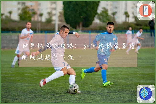 世界杯买球攻略：如何选择最靠谱的网站进行下注