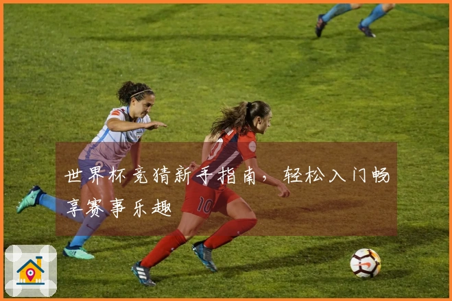 世界杯竞猜新手指南，轻松入门畅享赛事乐趣