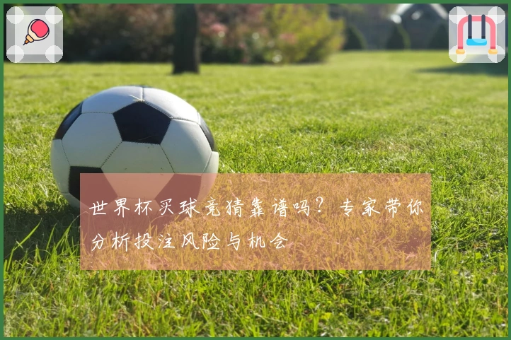 世界杯买球竞猜靠谱吗？专家带你分析投注风险与机会